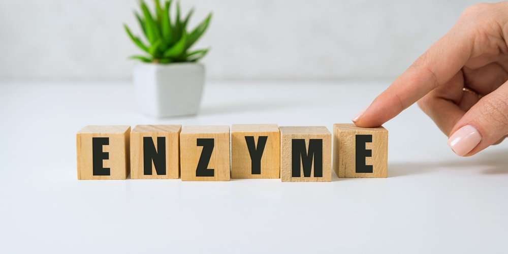 Les enzymes sont des protéines qui contribuent à accélérer les réactions chimiques dans notre corps. Elles sont essentielles au bon fonctionnement de l’organisme et elles jouent un rôle crucial dans divers processus, comme la digestion.